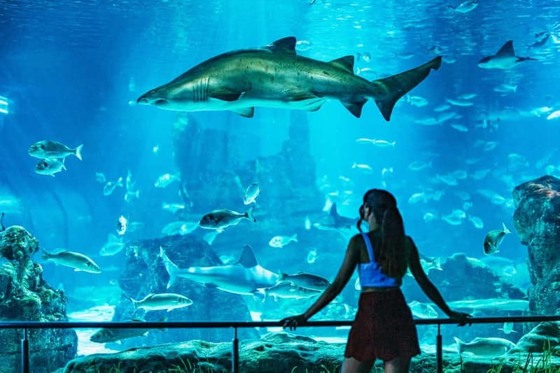Barcelona Aquarium: Entry Ticket - Who This Works Best For