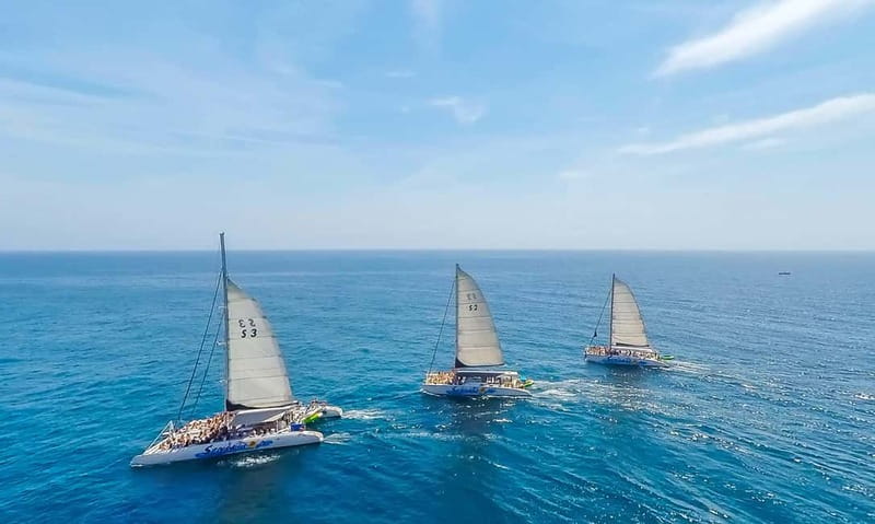 Barcelona: Catamaran Party Cruise with BBQ Meal - The Swim Stop in the Mediterranean: What It Feels Like and When It Happens