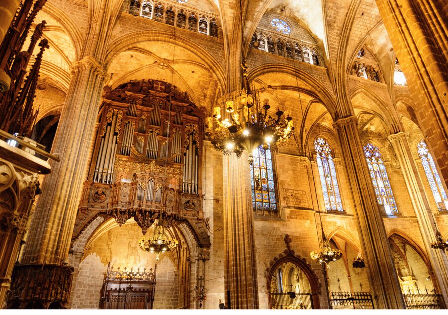Barcelona Cathedral: Ticket, Guided Tour and VR Experience - Practical planning: meeting point, what to bring, and what to expect on your feet