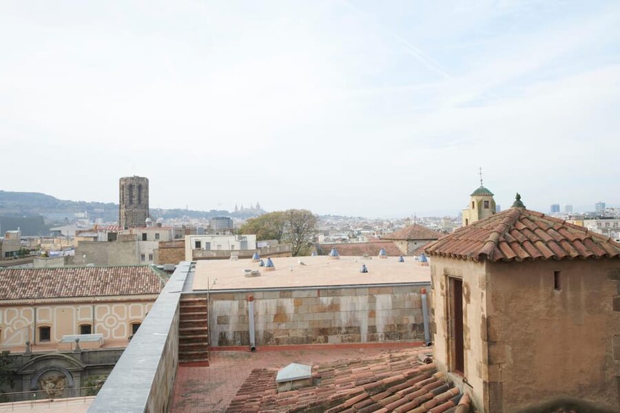 Barcelona Cathedral: Ticket, Guided Tour and VR Experience - Courtyard moments: geese, symbols, and a sense of continuity