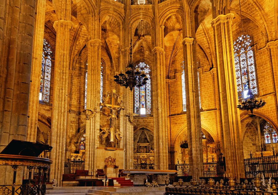 Barcelona Cathedral: Ticket, Guided Tour and VR Experience - VR glasses and off-limits cloister areas: tradition meets tech