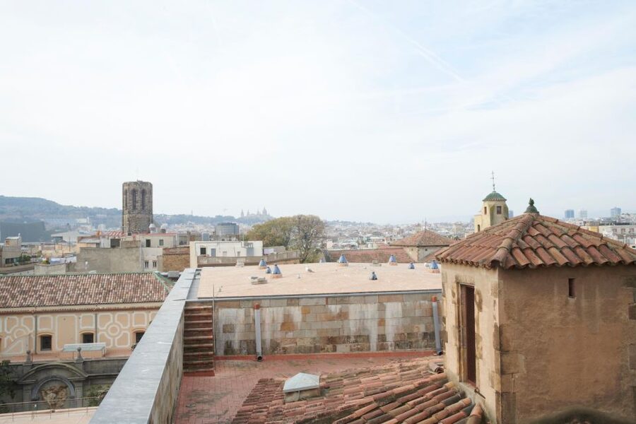 Barcelona Cathedral: Ticket, Guided Tour and VR Experience - Who gets the most out of a live guide here