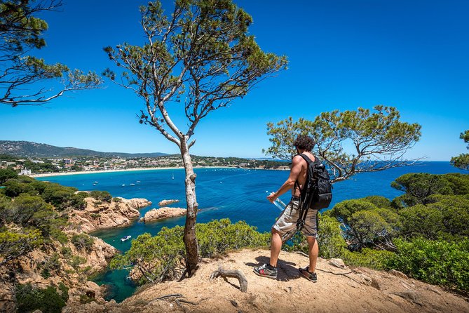 Barcelona: Costa Brava Easy Hike, Snorkel, Cliff-Jump & Meal - Golden sand and clear water at the start of the Camí de Ronda