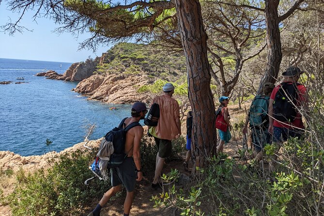 Barcelona: Costa Brava Easy Hike, Snorkel, Cliff-Jump & Meal - Snorkeling in protected water, plus optional cliff jumping