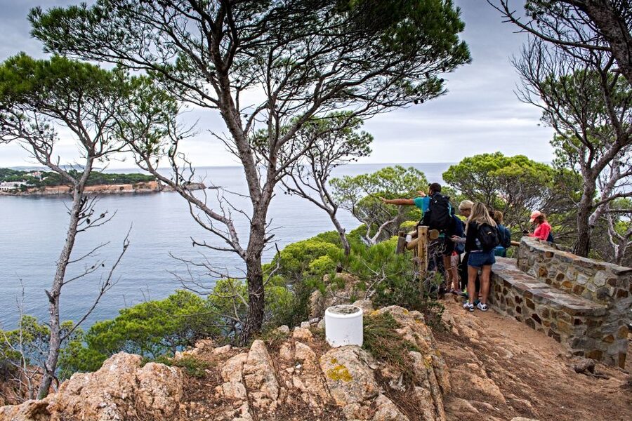 Barcelona: Costa Brava Hiking, Sea Kayaking & Lagoon Dipping - Key Points You’ll Care About