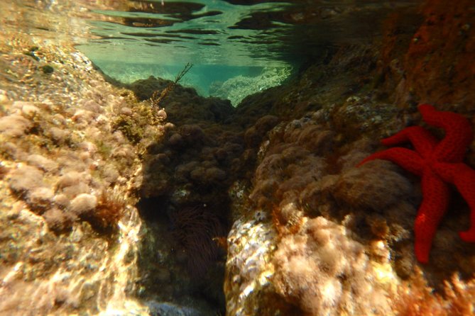 Barcelona Costa Brava Kayak, Snorkel & Cliff Jump Day Tour - Lunch on the beach in S’Agaró: recovery with a Mediterranean twist