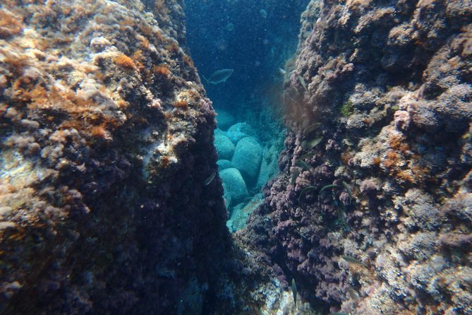 Barcelona Costa Brava Kayak, Snorkel & Cliff Jump Day Tour - Guides set the tone, and you feel it in the details