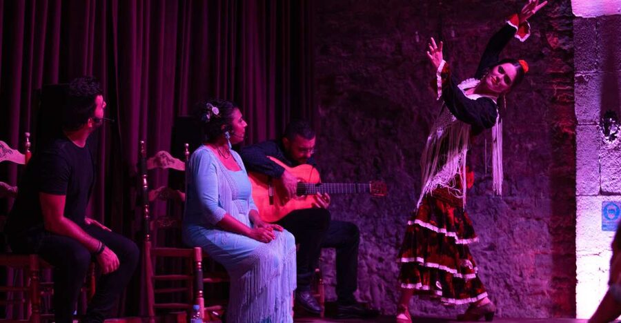 Barcelona: Flamenco Show at Palau Dalmases - Key things that make Palau Dalmases stand out