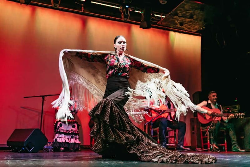 Barcelona: Flamenco Show at the Theater - Should You Book Flamenco in City Hall Theater?