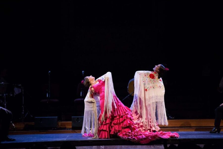 Barcelona: Gran Gala Flamenco Show Entry Ticket - Comfort, exits, and the small realities of live theater