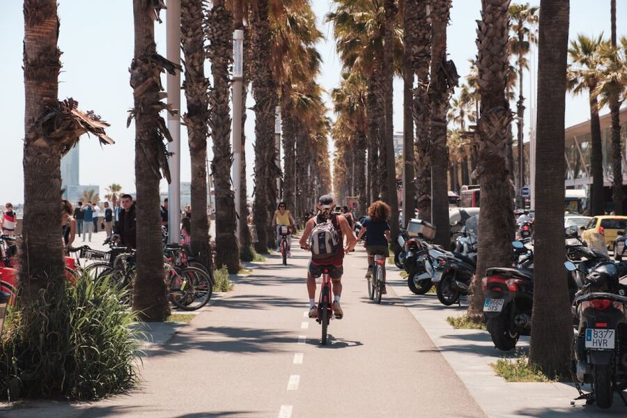 Barcelona: Guided Bike or E-Bike City Tour - Ciutadella Park and Arc de Triomf: a breather before Gaudí