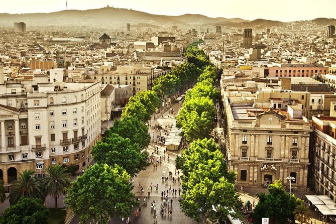 Barcelona Half-Day Sightseeing Private Tour - Hotel pickup, AC comfort, and flexible timing