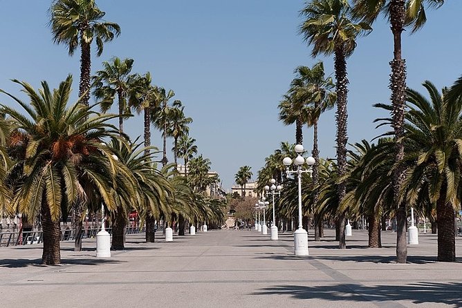 Barcelona Half-Day Sightseeing Private Tour - How to judge the price as value, not sticker shock