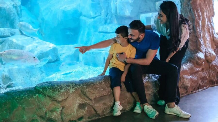 Barcelona: Hop-On Hop-Off Bus & Aquarium Tour - Why This Bus and Aquarium Combo Works in 1 or 2 Days