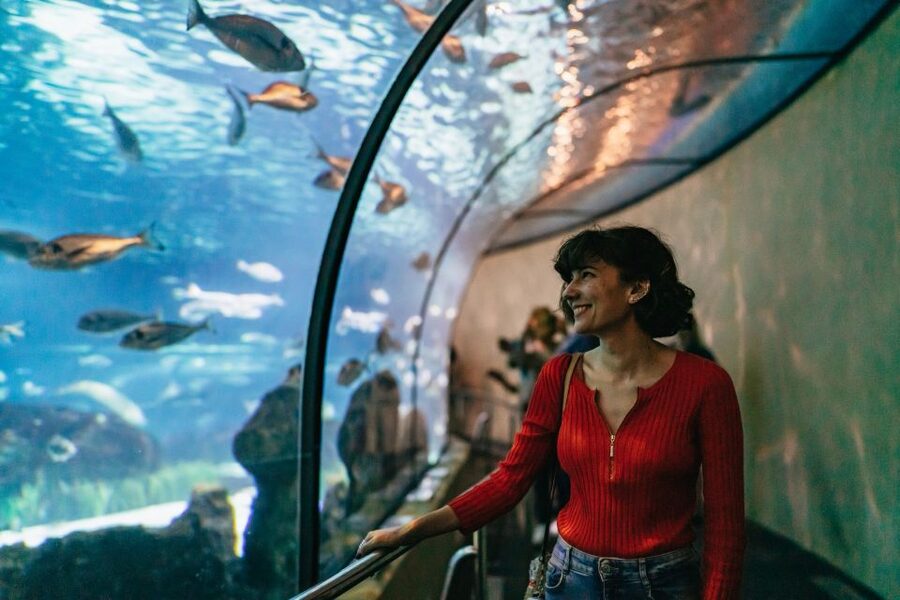 Barcelona: Hop-On Hop-Off Bus & Aquarium Tour - A Practical Way to Plan Your Stops Without Getting Lost
