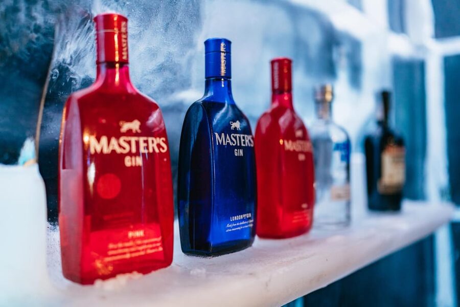 Barcelona: Icebar experience, located at the beach !! - Price and value: is $22 for Icebarcelona a good deal?