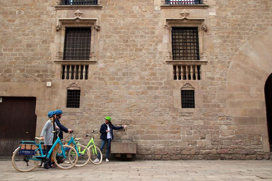 Barcelona: Montjuic Hill E-Bike Tour - Sot del Migdia viewpoint, the Olympic story from Europa Square, and the stadium photo stop