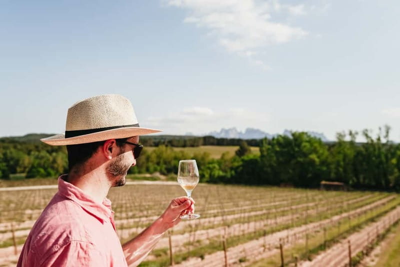 Barcelona: Montserrat and Winery Tour with Tapas or Lunch - Price and value: what $61 buys you, and what you pay separately