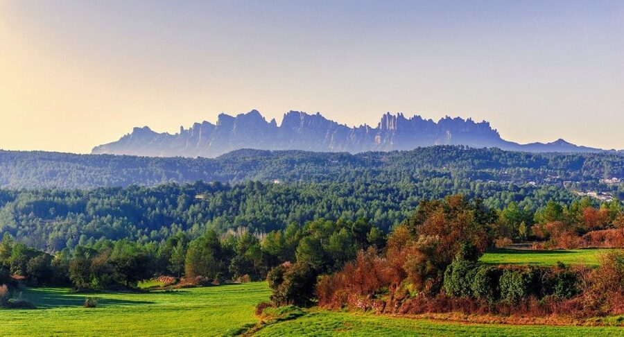 Barcelona: Montserrat Monastery & Hiking Off the Beaten Path - Montserrat Benedictine Abbey: Where Meaning Gets Real