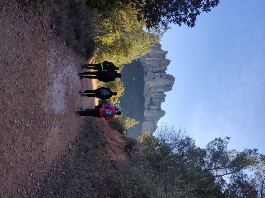 Barcelona: Montserrat Monastery & Hiking Off the Beaten Path - The Descent: Shady Forest Paths and a Knee-Friendly Reality Check