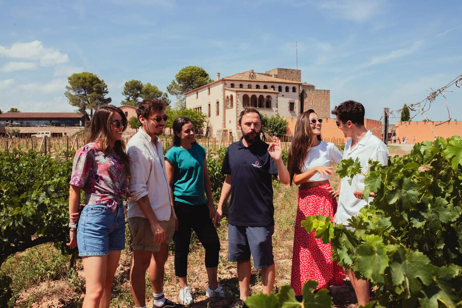 Barcelona: Montserrat with Winery, Lunch, and Train Options - Cremallera cogwheel and Sant Joan funicular: rides that change the whole day