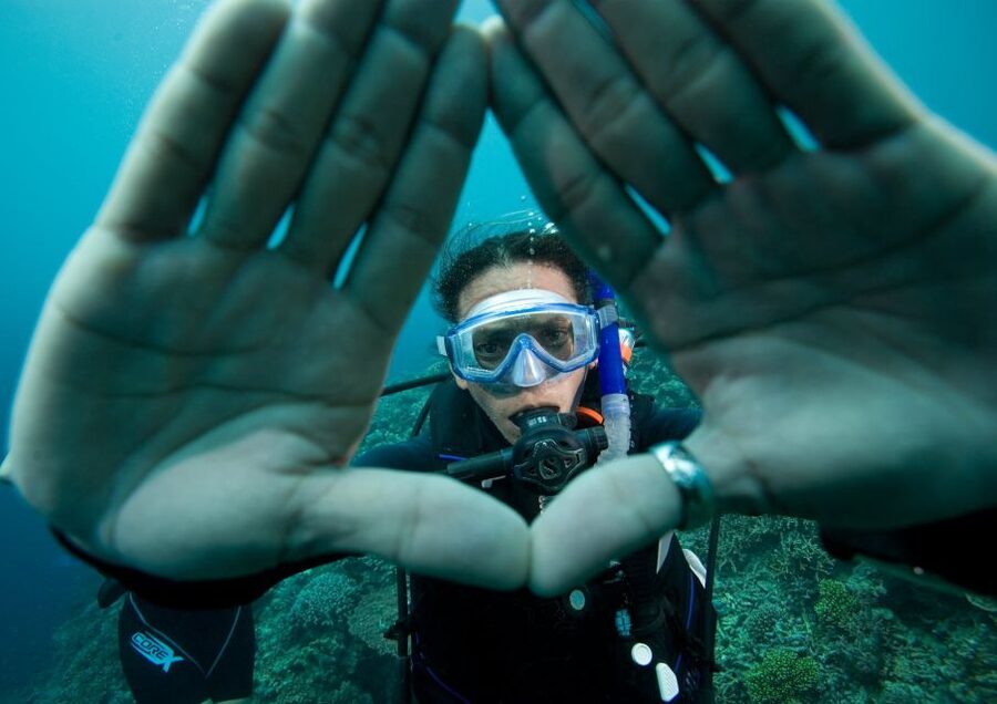 Barcelona: PADI Discover Scuba Diving - The underwater world off Barcelona: what you can realistically expect to see
