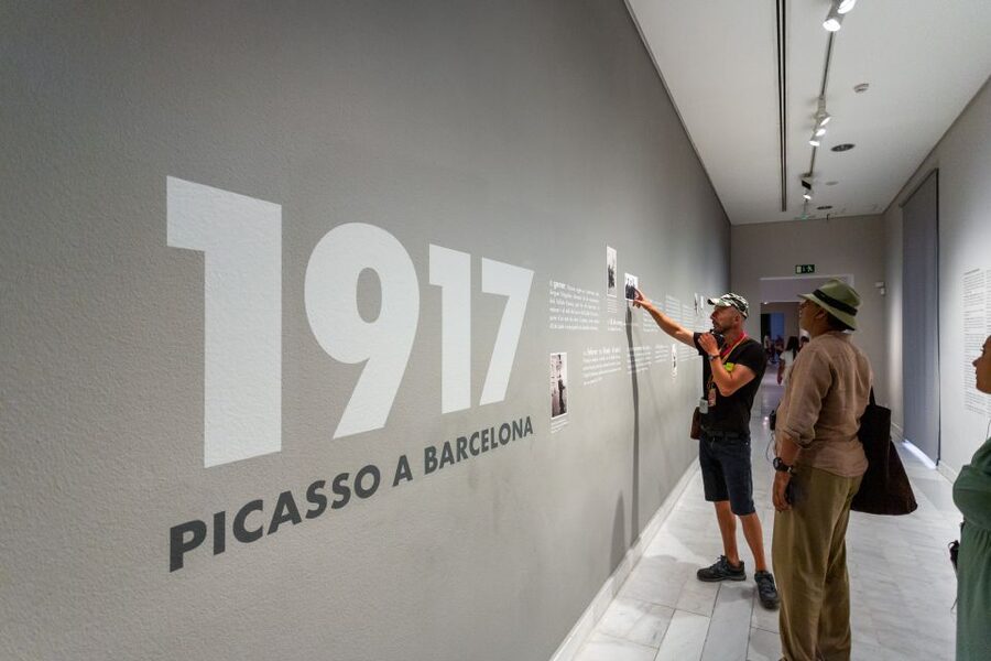Barcelona: Picasso Museum Skip-the-Line Guided Tour - Why the Picasso Museum Makes More Sense With a Guide