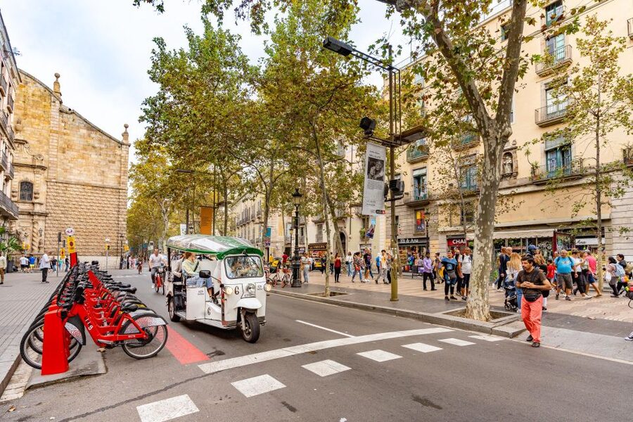 Barcelona: Private City Tour by Eco Tuk Tuk - Arc de Triomf to La Monumental: starting with a viewpoint and an easy pace