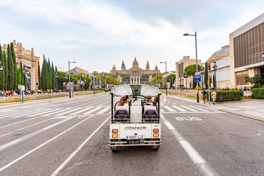 Barcelona: Private City Tour by Eco Tuk Tuk - Plaça de Catalunya and the Gothic Quarter: learning the city’s story from the street