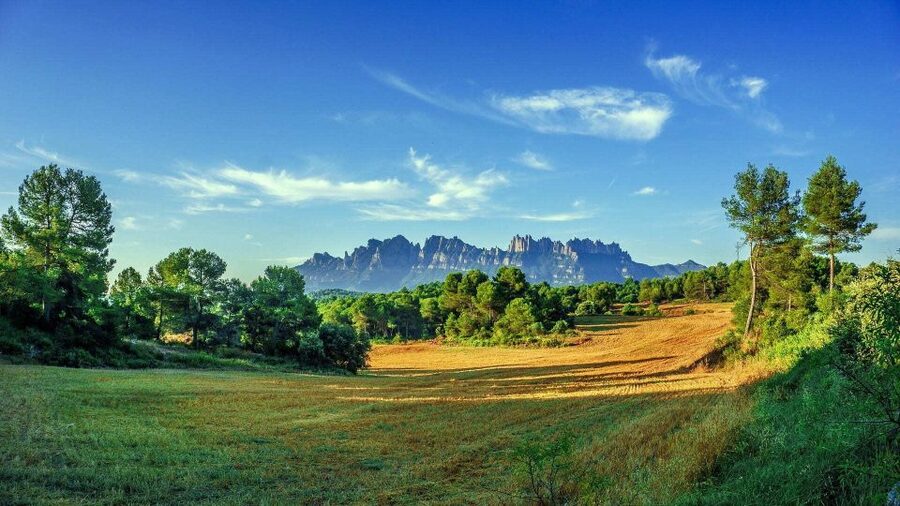 Barcelona: Sagrada Familia & Montserrat Full-Day with Pickup - Santa Maria de Montserrat: the monastery visit that gives meaning