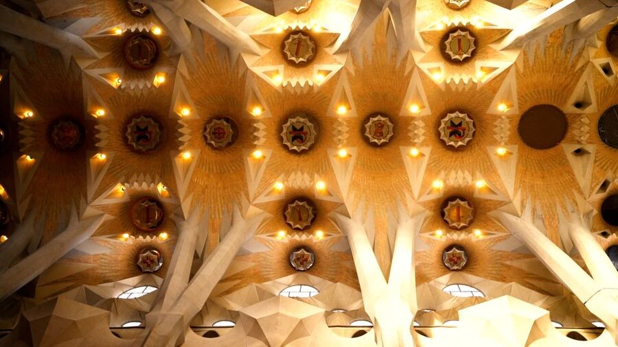 Barcelona: Sagrada Familia Skip-the-Line Guided Tour - Inside the basilica: stained glass light and Gaudí’s forest idea
