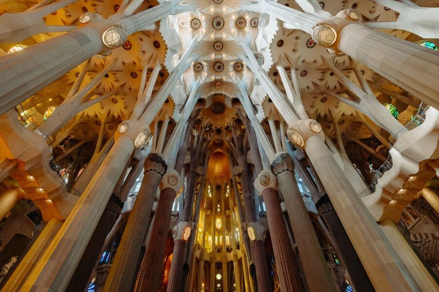 Barcelona: Sagrada Familia Tour w/Skip-the-Line Entry Ticket - Inside the nave: columns like trees and light that does the talking