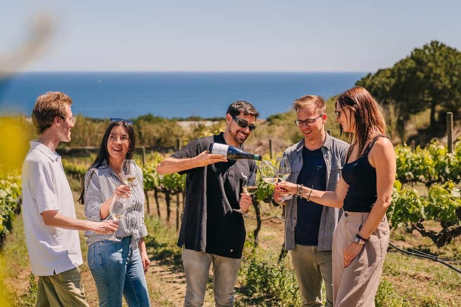 Barcelona: Sailing Cruise & Vineyard Tour with Wine Tasting - Getting There: World Experience Sailing at Moll de Mestral (Port Olímpic)