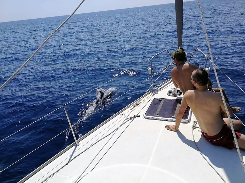 Barcelona: Sailing Trip with Drinks and Snacks - What you’ll actually see: Sagrada Familia, the harbor icons, and the hills