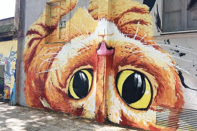 Barcelona Street Art and Graffitti Bicycle Tour - How long it takes, and what fitness level works best