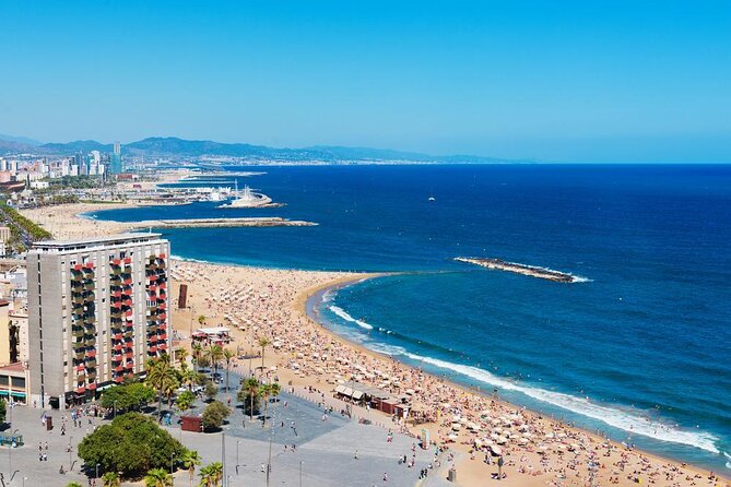 Barcelona Sunset Cruise with Light Snacks and Open Bar - Key highlights at a glance