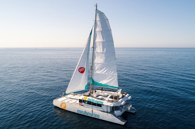 Bay of Malaga Catamaran Sailing - Timing and crowding: what to expect on a popular one-hour sail