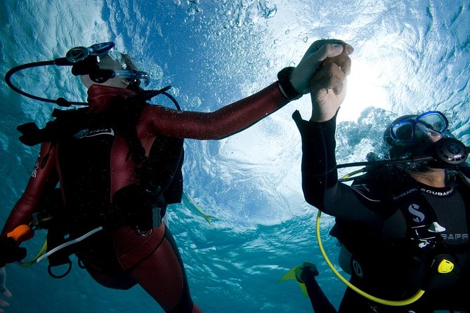 Beginners Scuba Diving Experience in Gran Canaria - Where It Starts in Las Palmas, and Why the Water Location Matters