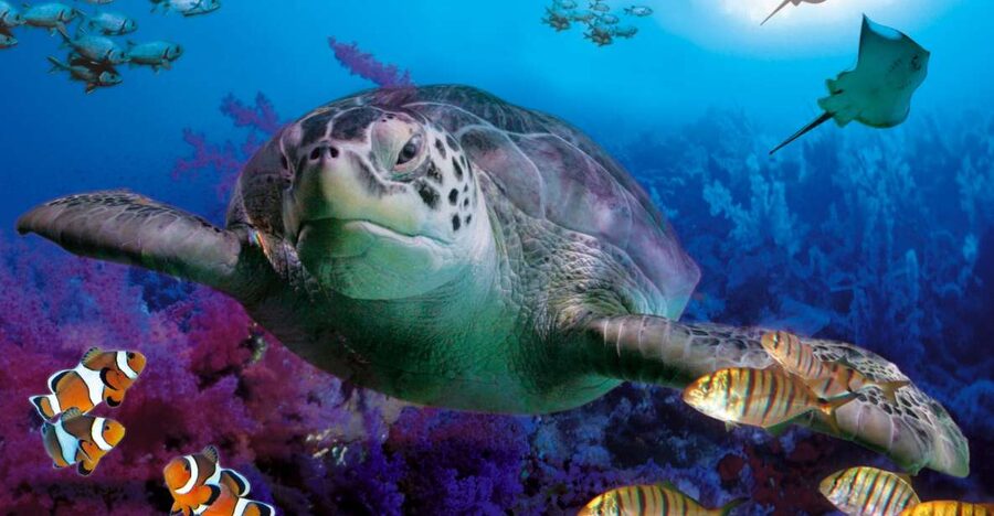 Benalmadena Aquarium Visit - Key Takeaways