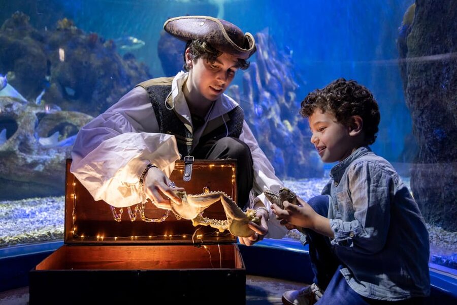 Benalmadena Aquarium Visit - Sea Life Benalmádena by the Med, Right Where You Want To Be