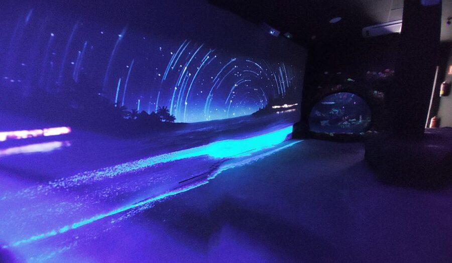Benalmadena Aquarium Visit - The 180º Submarine Tunnel, Sharks Overhead and a Green Turtle