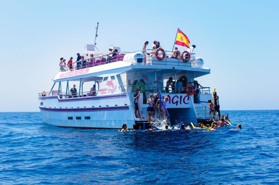 Benalmadena: Dolphin Watching Boat Tour - Price and value: why $22 can work well here