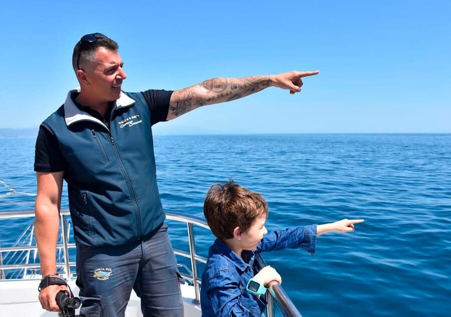 Benalmadena: Dolphin Watching Boat Tour - Getting on the New Magic: where to check in and how to start smooth