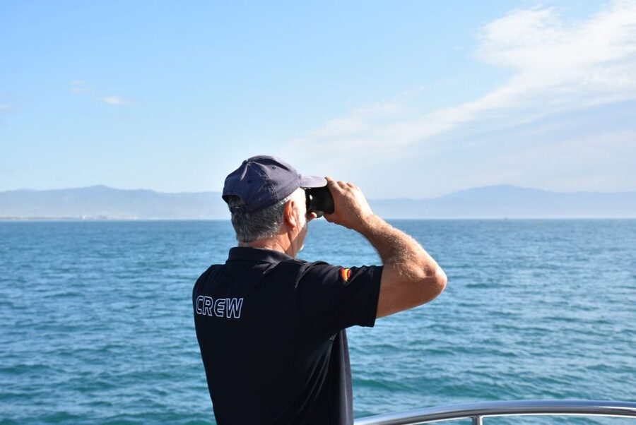 Benalmadena: Dolphin Watching Boat Tour - Food and drinks: simple bar service, plus that laid-back cruise mood
