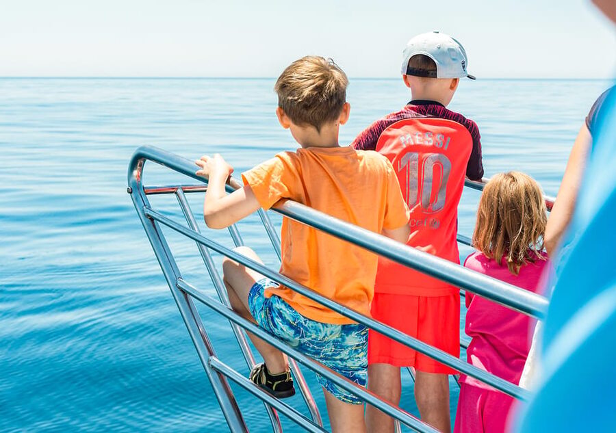 Benalmadena: Dolphin Watching Boat Tour - Family-friendly comfort, and how the crew supports different needs