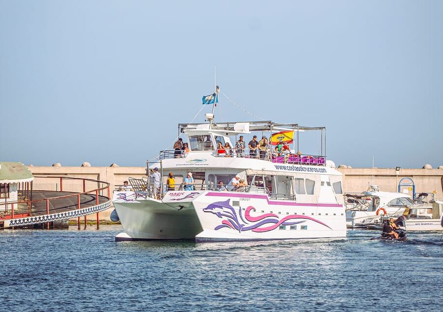 Benalmadena: Dolphin Watching Boat Tour - The boat setup that keeps 100 minutes comfortable