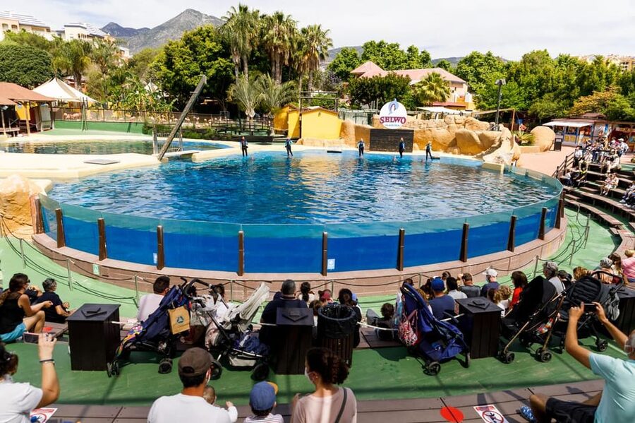 Benalmadena: Selwo Marina Admission Ticket - Practicalities That Affect Your Comfort (And Your Cost)