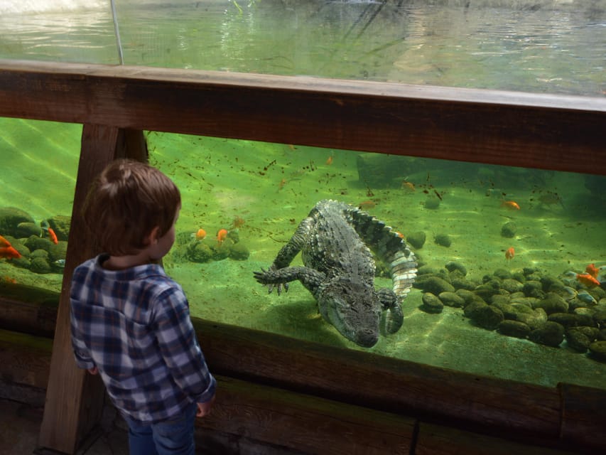 Benidorm: Terra Natura and Aqua Natura Combo Day Ticket - Entertainment and “Non-Slide” Fun at Aqua Natura