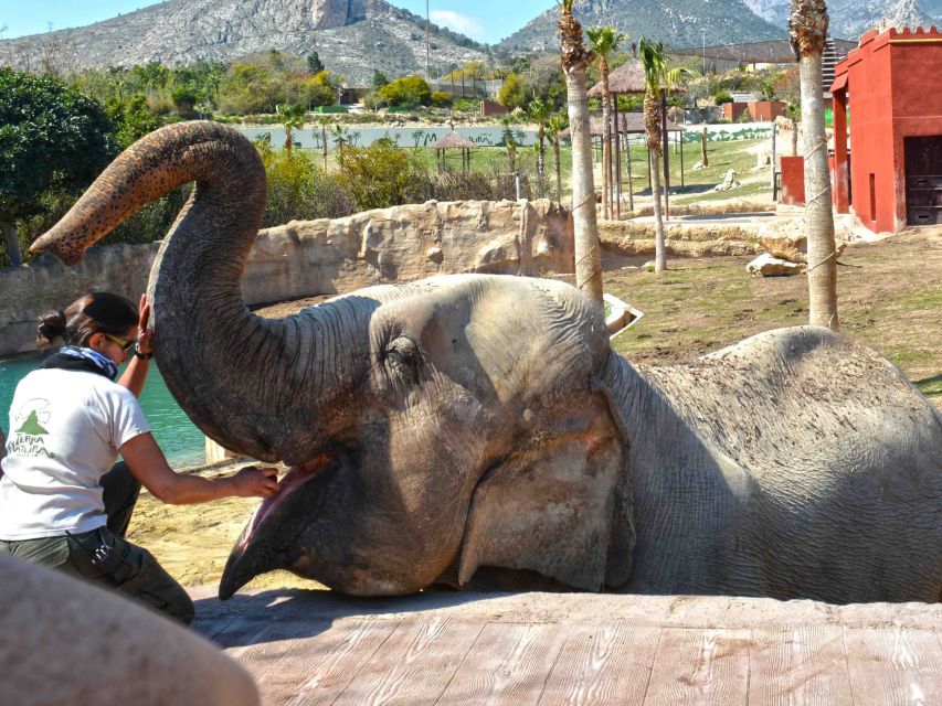 Benidorm: Terra Natura Theme Park 1-Day Tickets - The “poisonous” exhibits: educational, creepy, and honestly memorable