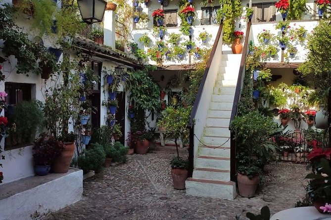 Bike Tour Córdoba - Meeting at C. Moriscos and how the tour pacing actually works